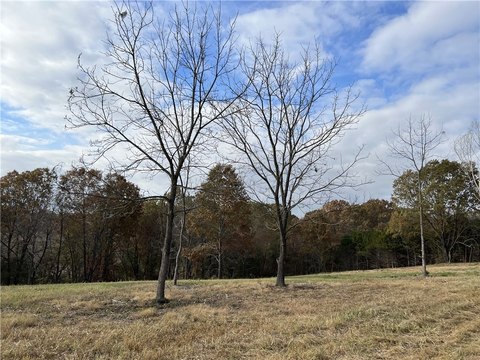 LAND - Harrison, AR