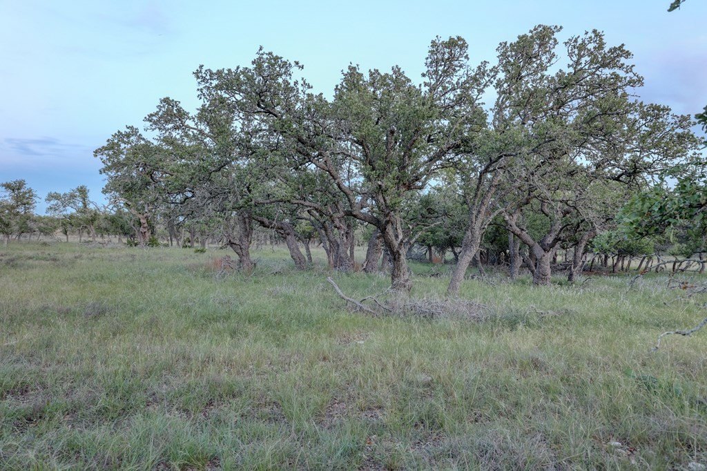Picture 20