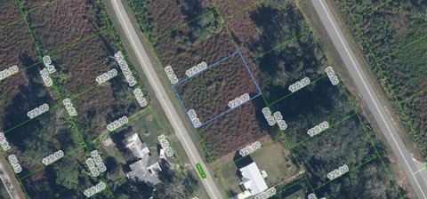 Land - LAKE PLACID, FL