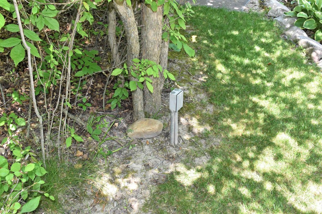 Picture 45