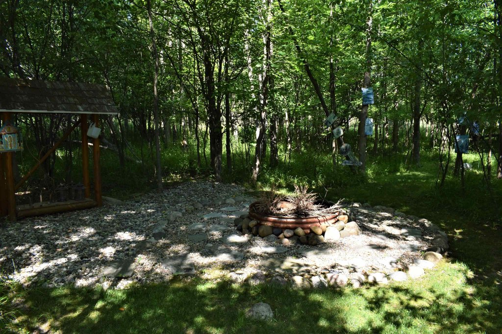 Picture 11