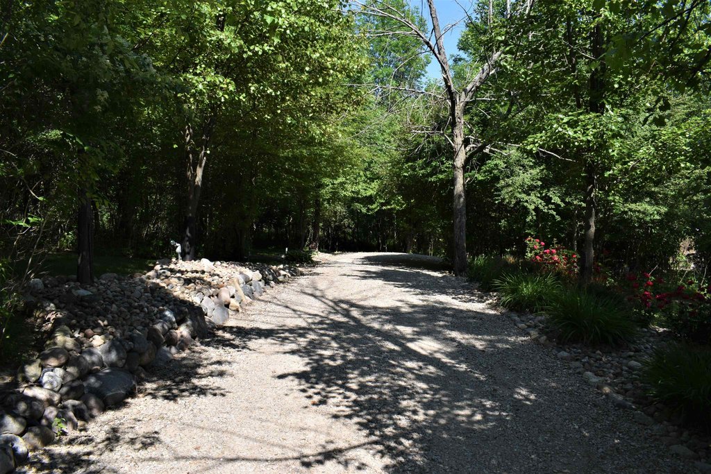 Picture 7