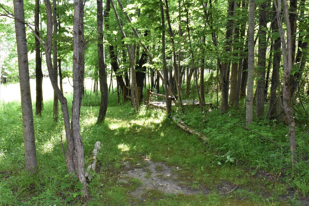 Picture 33