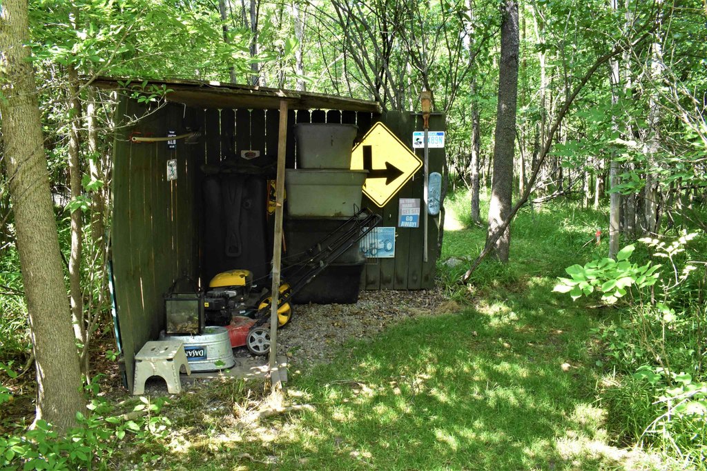 Picture 42