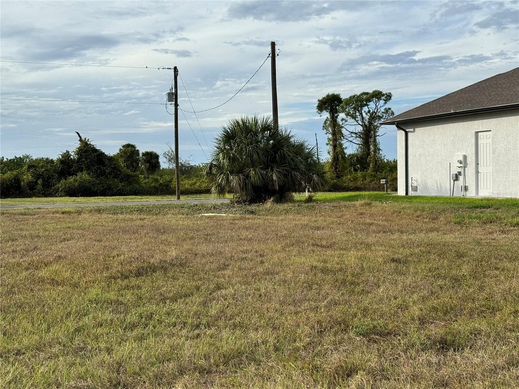 Picture 17