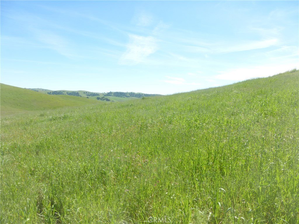 Picture 39