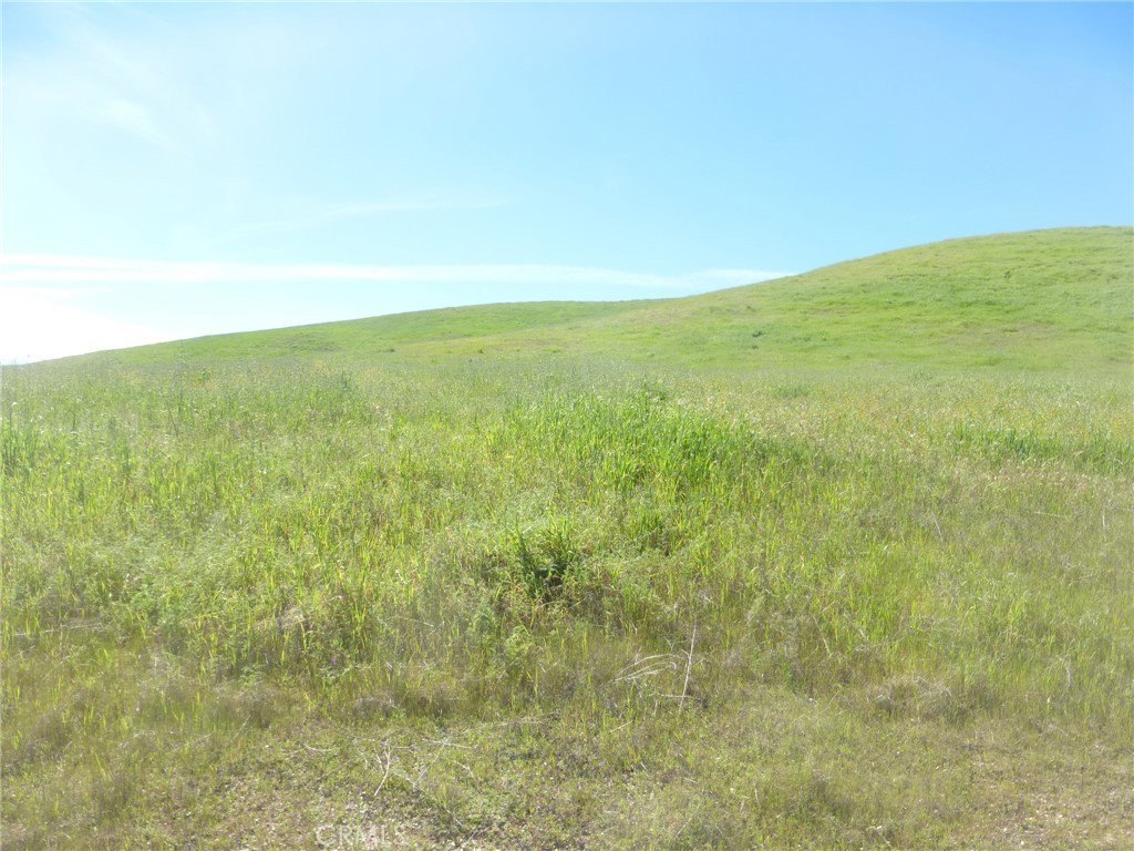 Picture 48