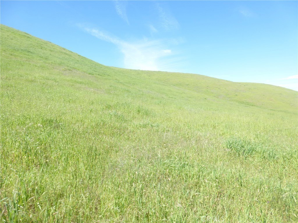 Picture 37