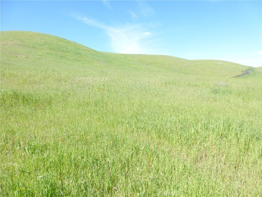 Picture 34