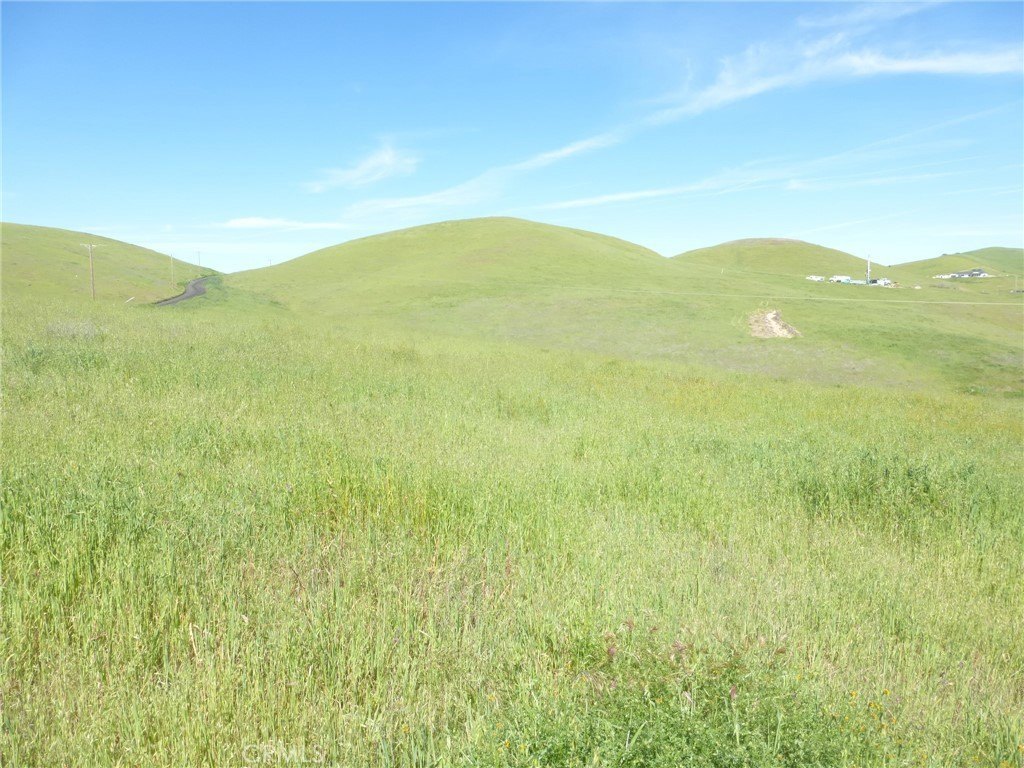 Picture 33