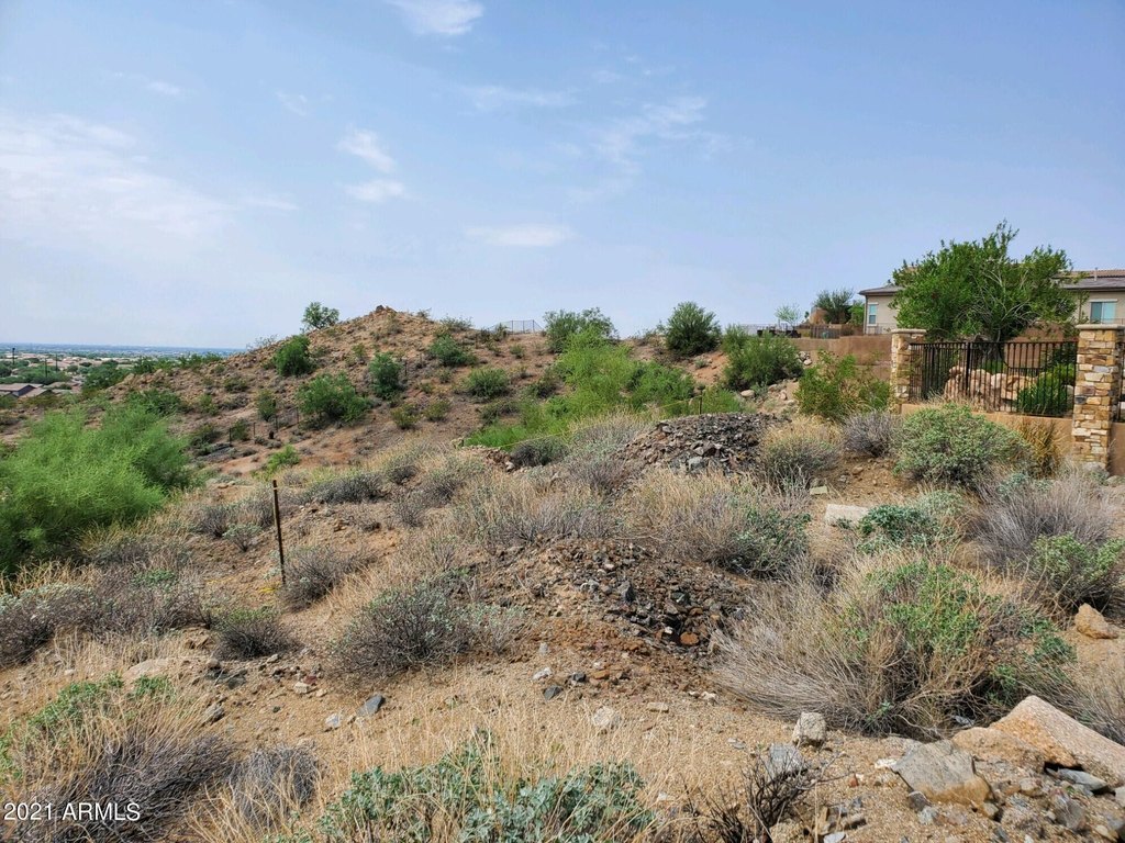 Picture 25