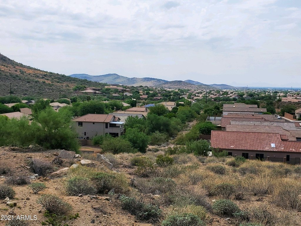 Picture 19