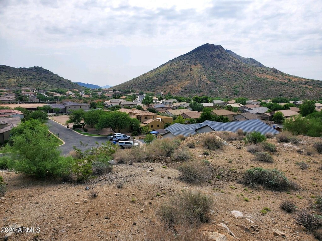 Picture 16