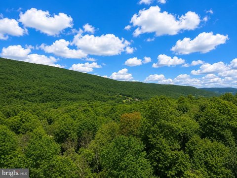 Mountain Hunting Land
