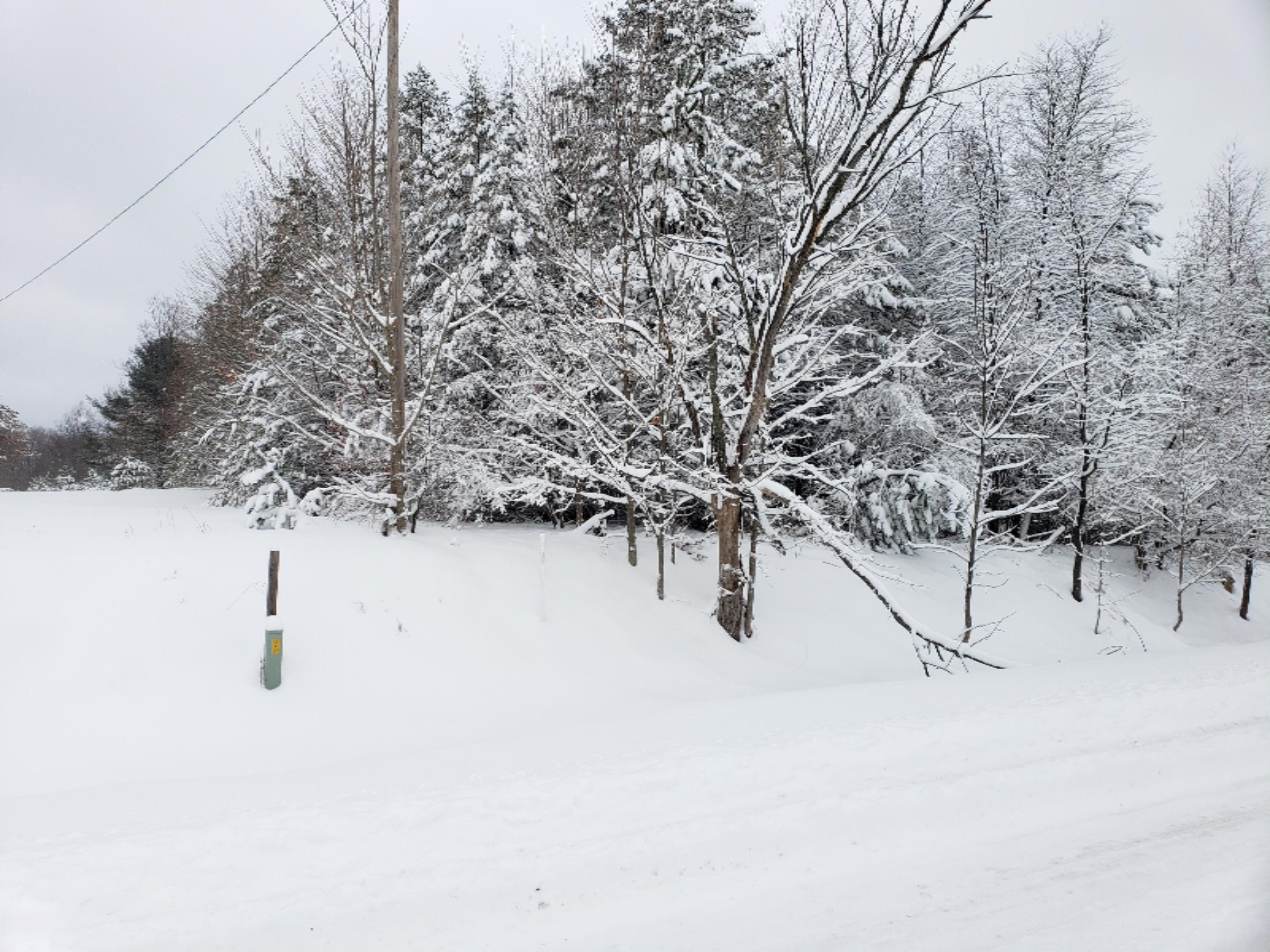 Wooded Land Near Snowmobile Trail