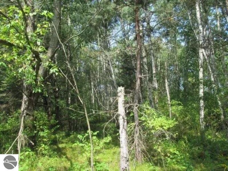 Picture 19