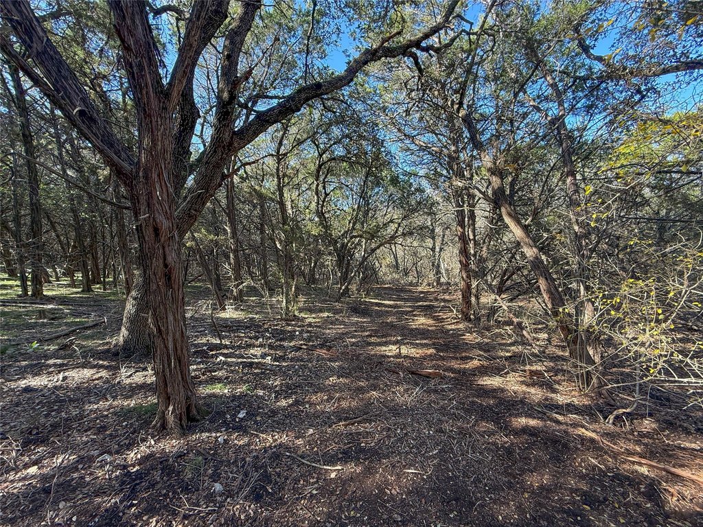Picture 14