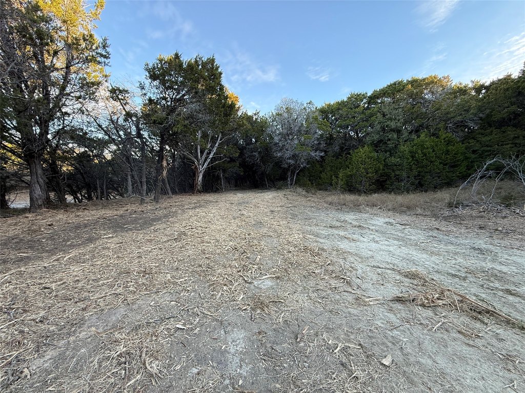 Picture 16