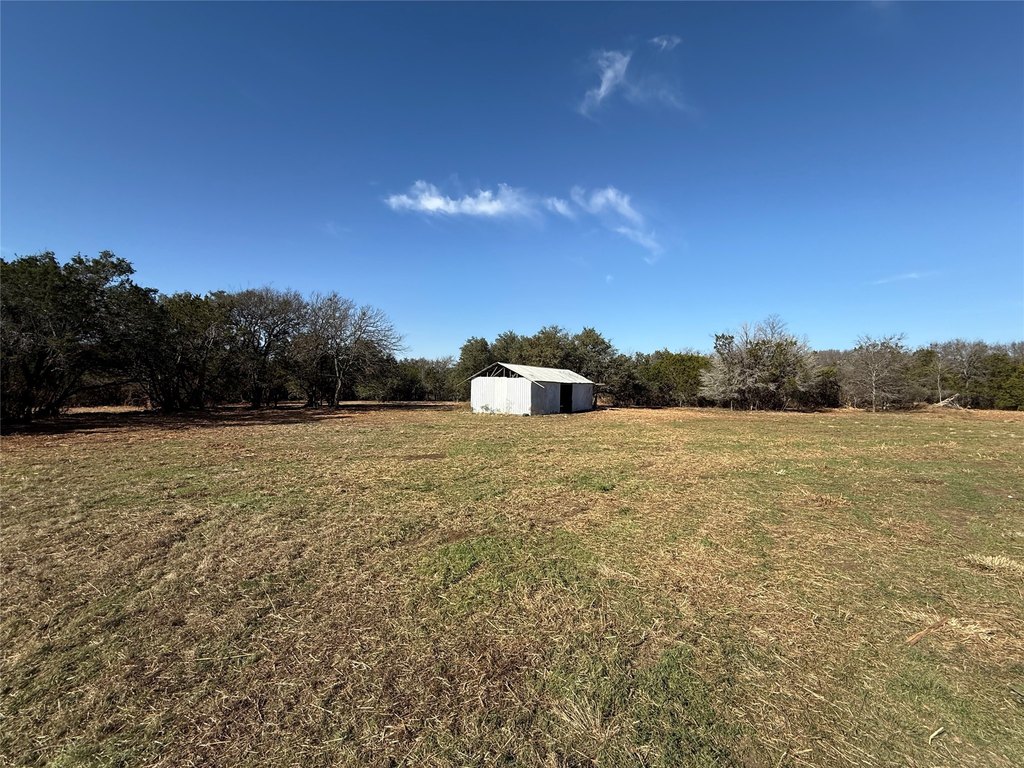 Picture 12