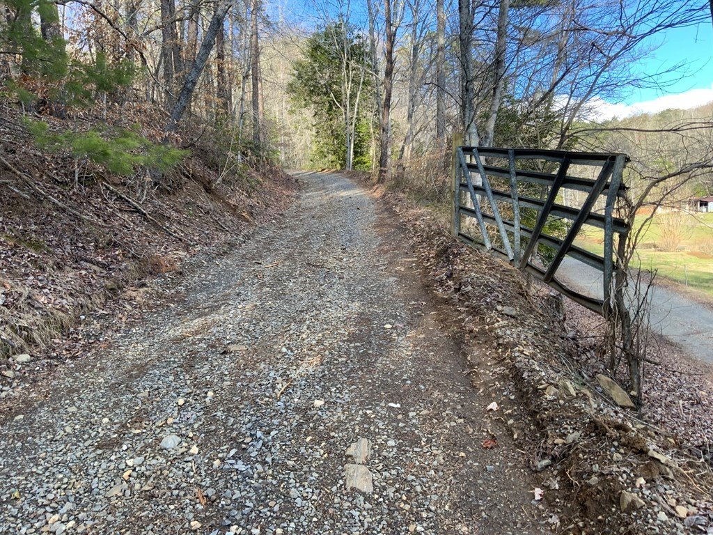 Picture 15