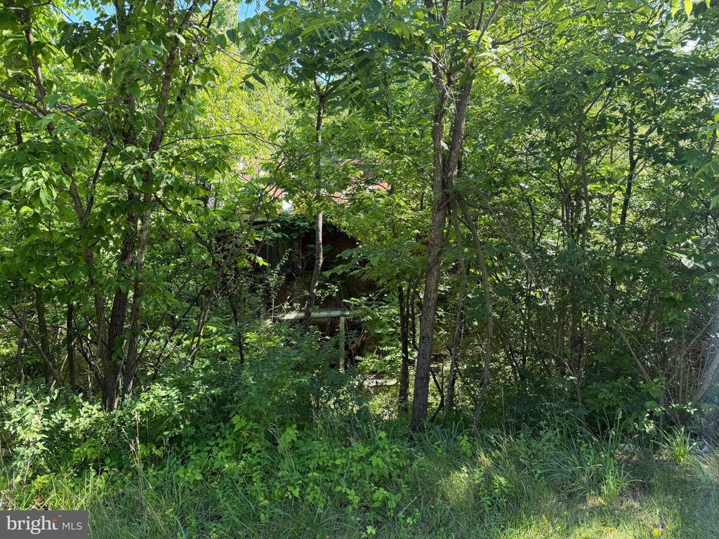 Picture 4