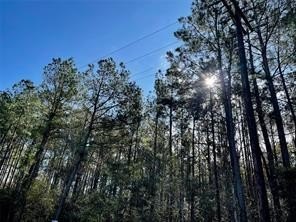 Colmesneil, TX Land For Sale