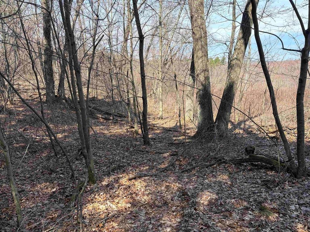 Picture 19