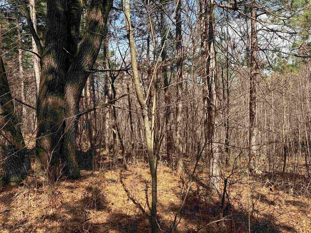 Picture 36