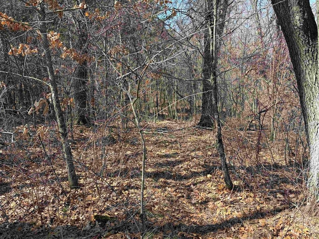 Picture 15