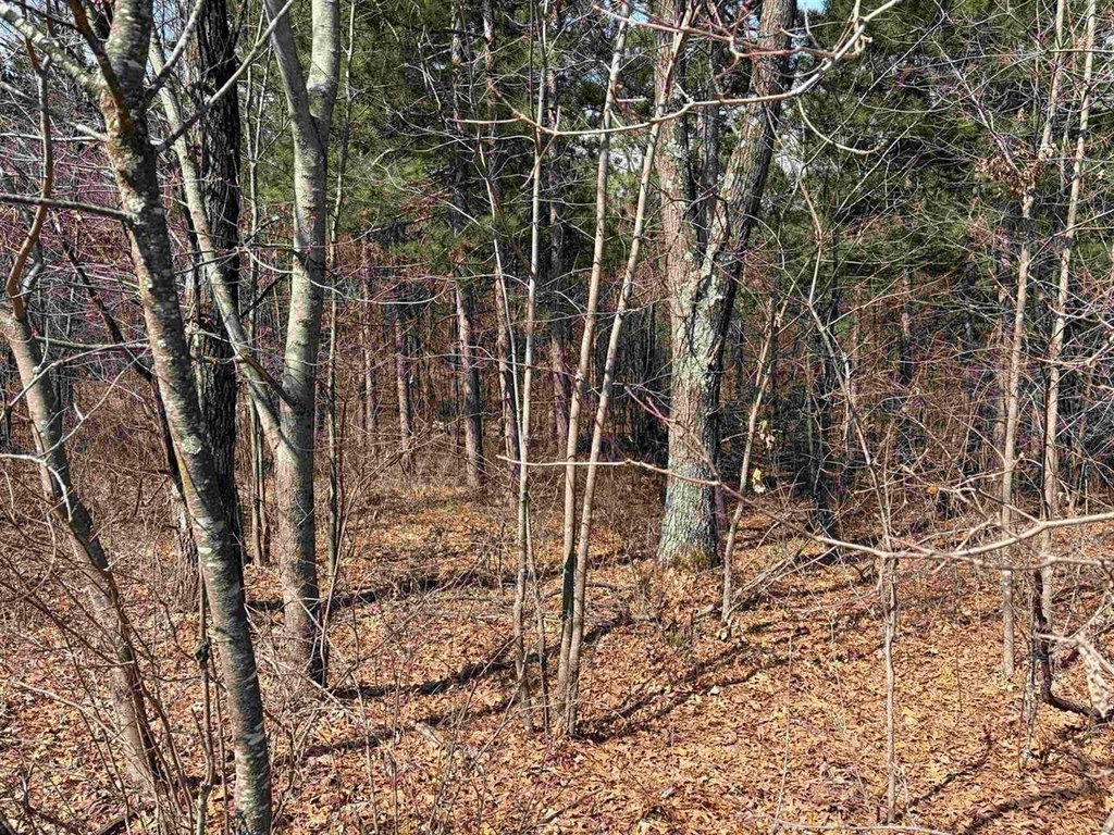 Picture 38