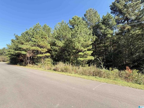 Odenville Acreage: Build Your Dream