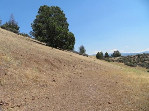 Land with River Access