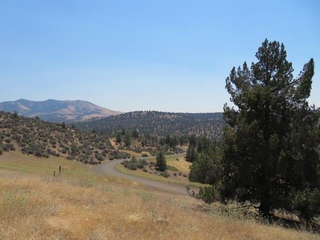 Picture 9