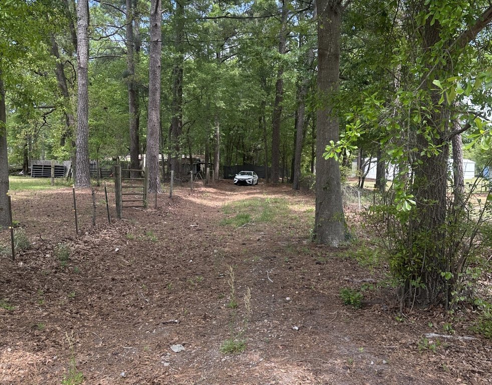 Picture 24