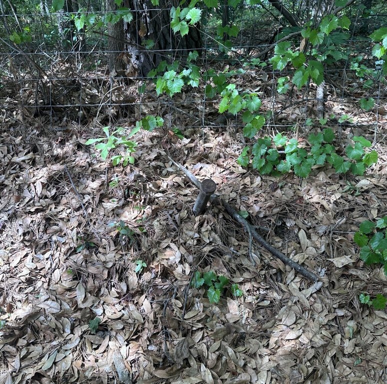 Picture 15