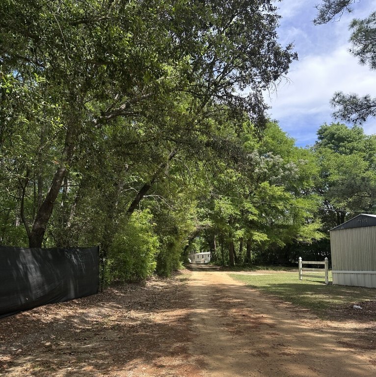 Picture 21