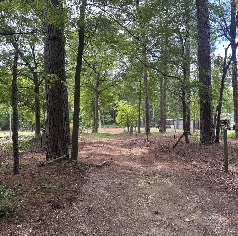 Picture 23