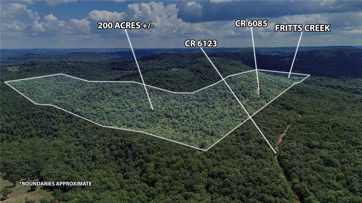 80 Acres of Ozark Hunting Land