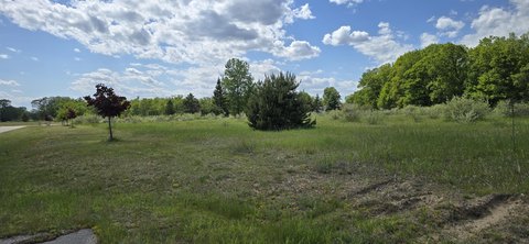 Roscommon Land Near Higgins Lake