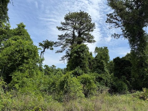 Residential Land Lot for Sale