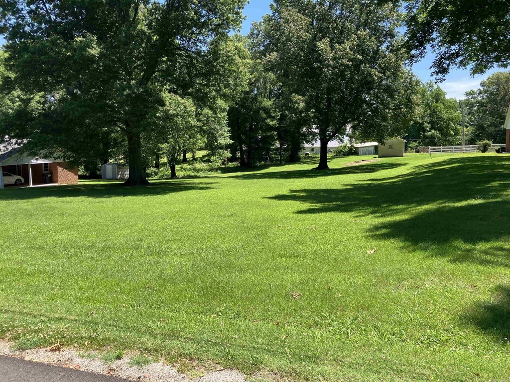 Picture 18