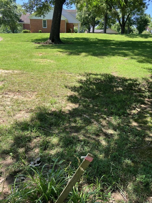 Picture 13