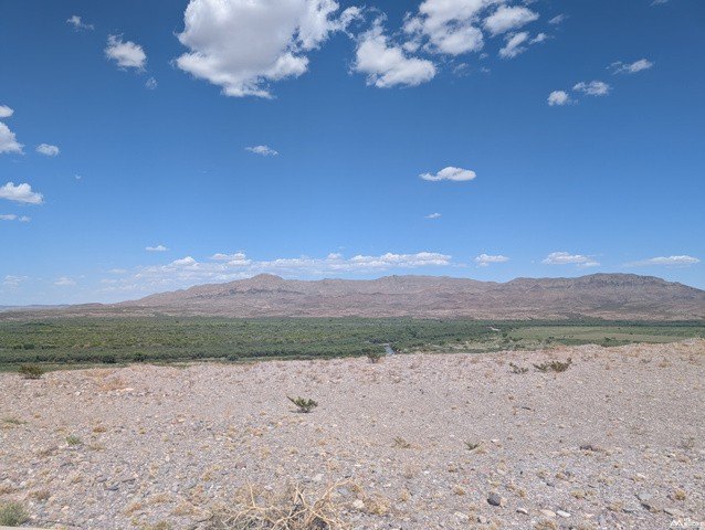 Picture 8