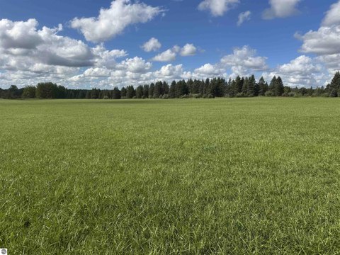 Vacant Lot/Land, Hale, MI