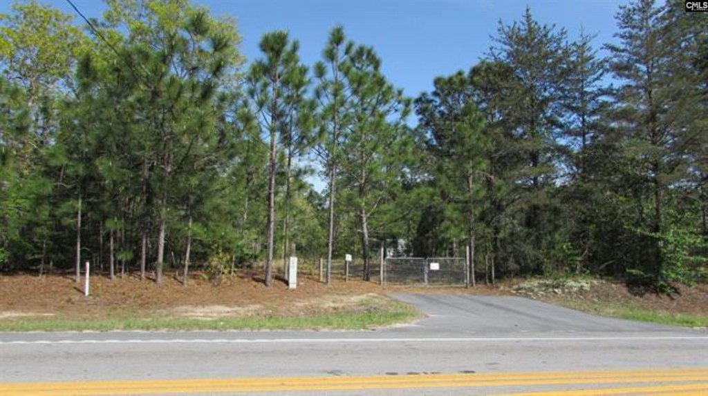 Picture 6