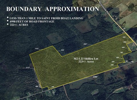 223 Acres of Wooded Land