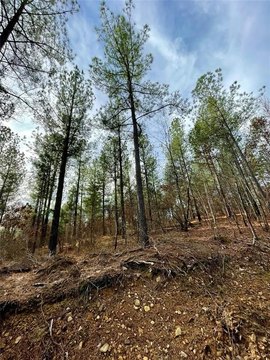 LAND - Broken Bow, OK