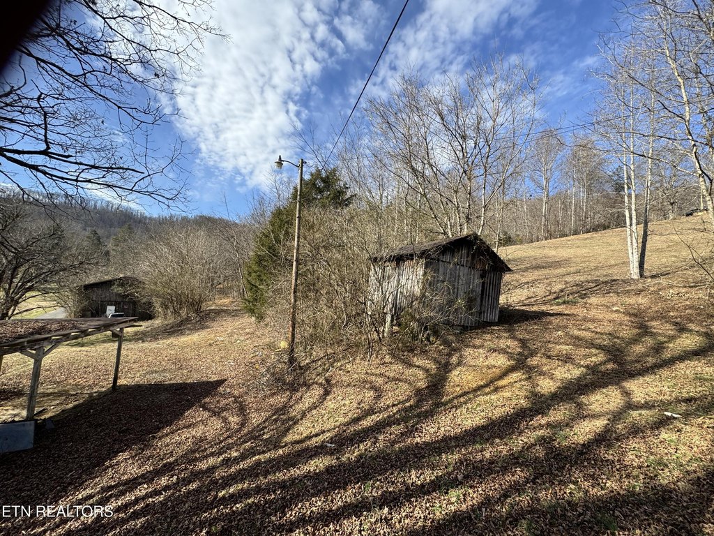 Picture 25