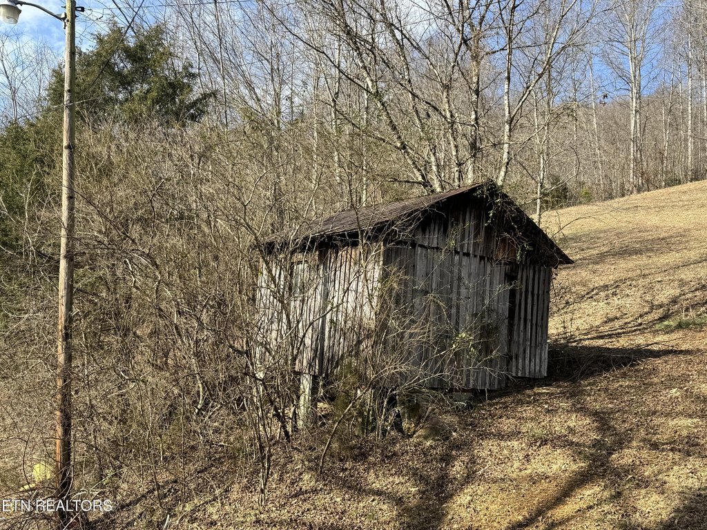 Picture 23