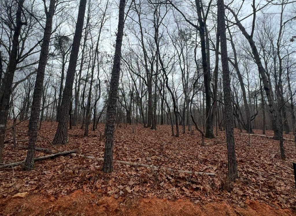 Land in Oak Mountain Estates